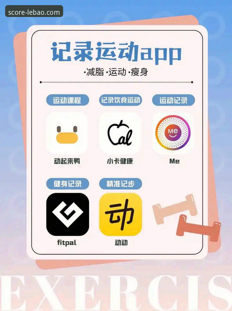 乐宝体育手机客户端iOS版：从下载到精通的全方位使用指南