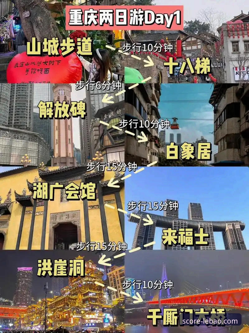 乐宝体育平台全面评测：从下载到赛事直播的实战体验报告